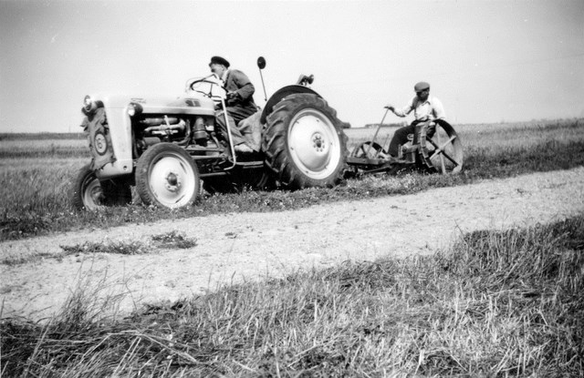 foto